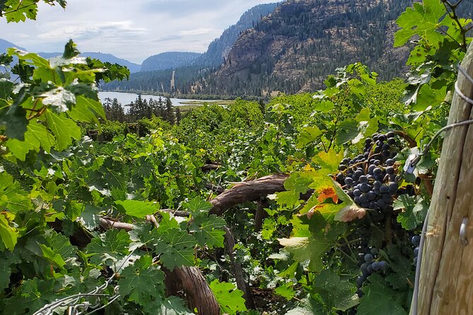 Okanagan Falls Private Wine Tour - Full Day - Wineries Visited