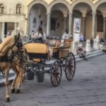 One Hour Tour Through The Historic Center And Half Renaissance Walls Tour Overview