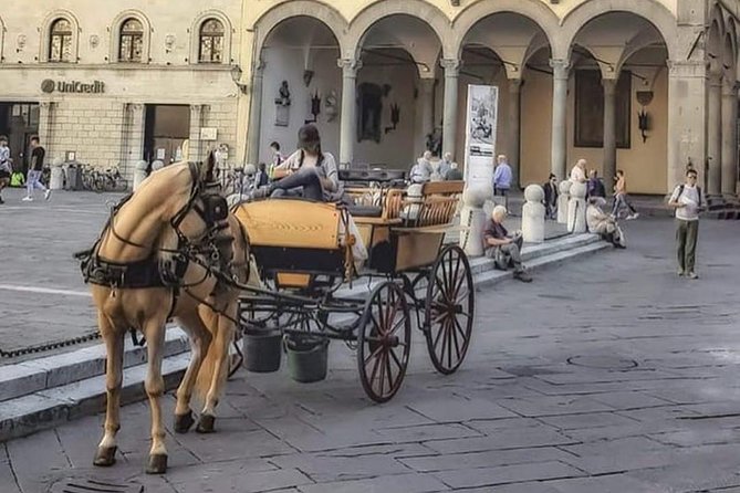 One Hour Tour Through The Historic Center And Half Renaissance Walls Tour Overview