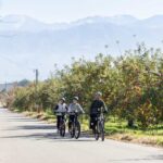 Orchard Cycling Tour Review: Experience The Alps Tour Overview And Pricing