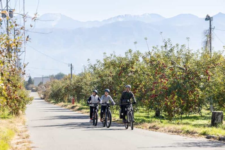 Orchard Cycling Tour Review: Experience The Alps Tour Overview And Pricing