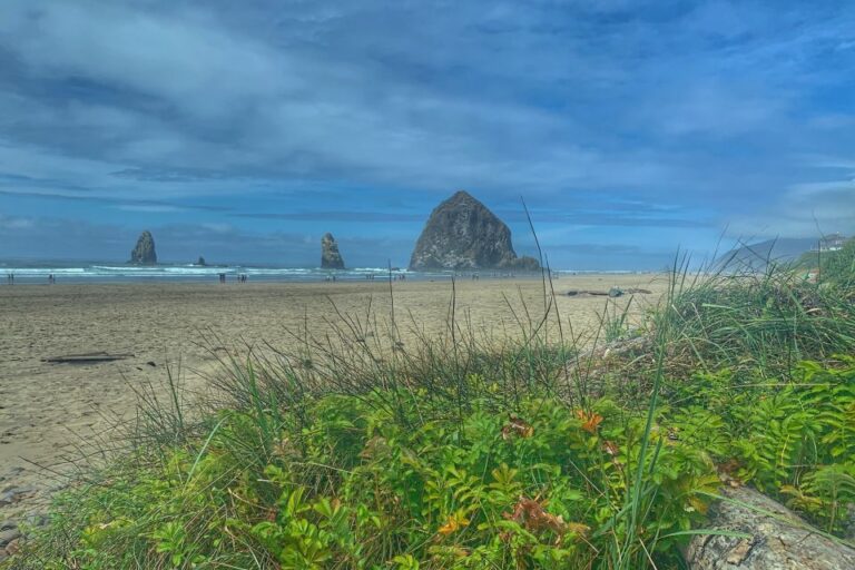 Oregon Coast Day Tour: Cannon Beach And Haystack Rock Tour Overview