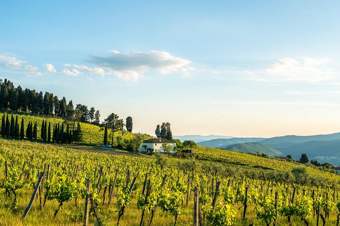 Organic Winery Tour and Tasting in Tuscany Chianti Hills - Overview of Fattoria Lavacchio