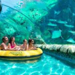 Orlando: Aquatica Water Park Admission Ticket Overview Of Aquatica Waterpark