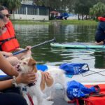 Orlando: Paddle With Pups In Paradise Paddleboard Or Kayak Explore Lake Ivanhoes Natural Beauty