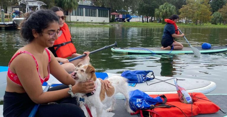 Orlando: Paddle With Pups In Paradise Paddleboard Or Kayak Explore Lake Ivanhoes Natural Beauty