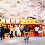 Osaka: Daytime Hanami (cherry Blossom) And Food Tour Tour Inclusions