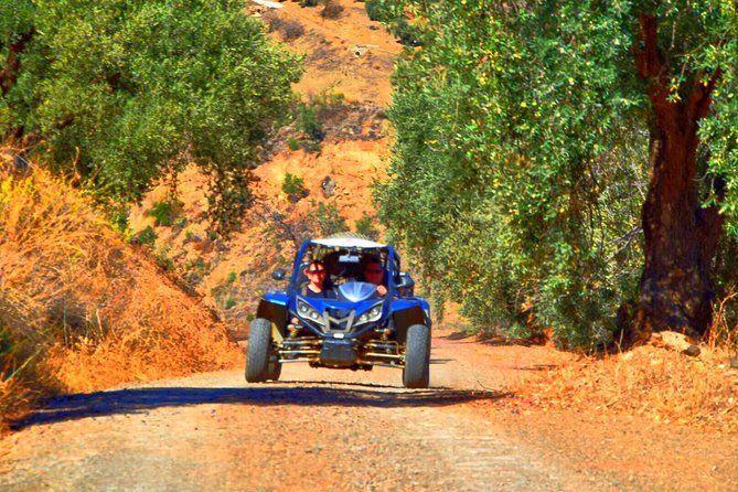 Panoramic Buggy Tour From Malaga - Terrain Traversal