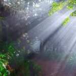 Paradise Valley Levada Walk Overview