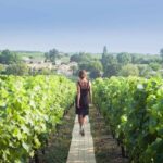 Paris: Discover The Cellars In The Countryside In Champagne Itinerary Overview