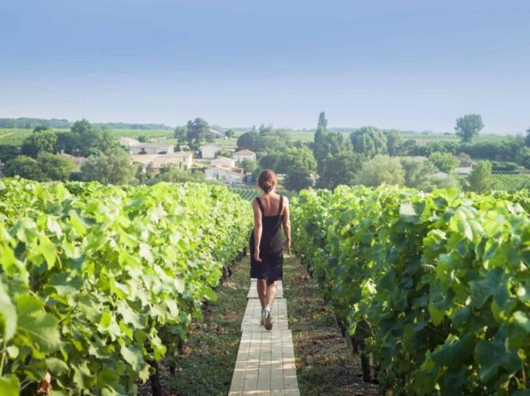 Paris: Discover The Cellars In The Countryside In Champagne Itinerary Overview