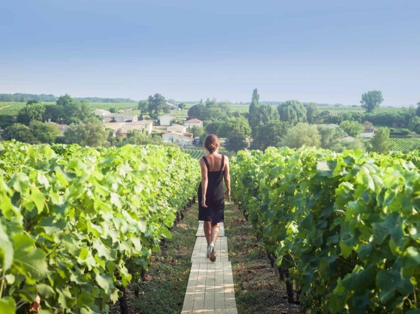 Paris: Discover the Cellars in the Countryside in Champagne - Itinerary Overview