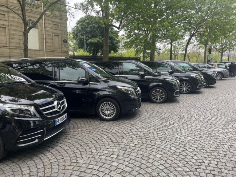 Paris: Luxury Private Transfer To Parc Asterix Luxury Transportation Service