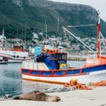 Peninsula Roadtrip: Boulders Beach & Cape Point Overview Of The Tour