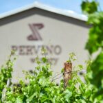 Pervino Wine Tasting Overview Of Pervino Winery