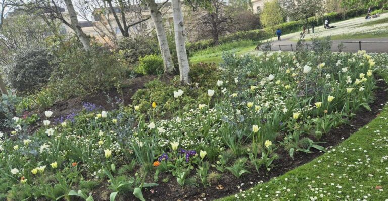 Picnic Tour Of London: Parks, Churches & All In Between The Heart Of London