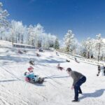 Play With Snow! Review: Fun In Hokkaido Activity Overview