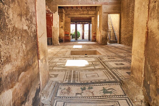 Pompeii, Herculaneum & Mt Vesuvius Private Tour From Naples - Tour Overview