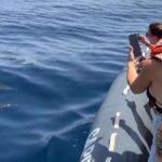 Portimão: Dolphins And Marine Life Boat Tour With Biologist About The Boat Tour