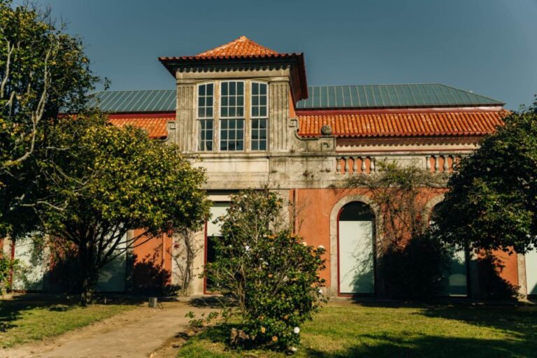 Porto: National Museum Soares Dos Reis E Ticket & City Tour Museum Collections And Exhibits