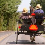 Premium Amish Country Tour Including Amish Farm And House Tour Overview