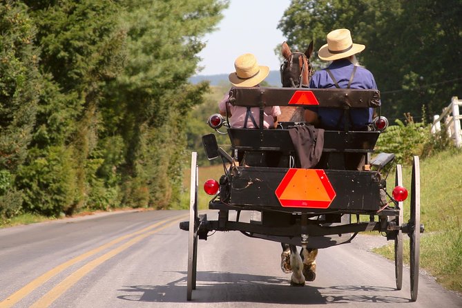 Premium Amish Country Tour Including Amish Farm and House - Tour Overview