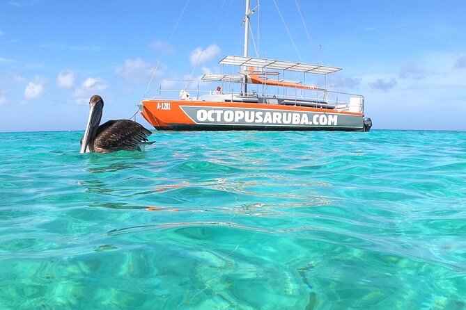 Premium Catamaran Morning Sail: Snorkeling, Mimosas, and Brunch - Meeting and Pickup