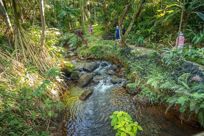 Princeville Botanical Gardens Tour and Chocolate Tasting Ticket - Tour Overview