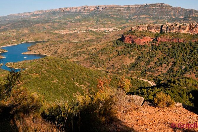 Priorat Wine Tasting Tour From Salou With Hotel Pickup - Tour Overview