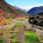 Private Day Tour To Ourika Valley Including Guided Hike And Lunch From Marrakech Tour Overview