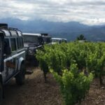 Private Exclusive Manousakis Winery And Vineyard Tour Tour Overview