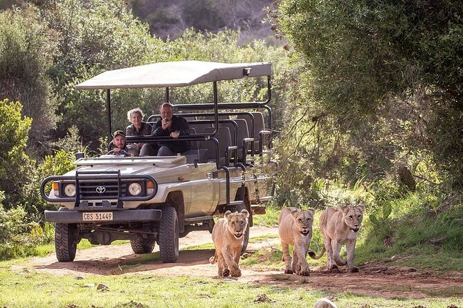 Private Garden Route Tour From Cape Town With Game Drive - Overview of the Garden Route Tour