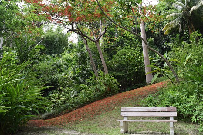 Private Glorious Gardens Of Barbados Tour Details