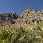 Private Hiking Tour Of Table Mountain Tour Overview