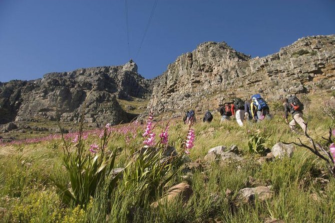 Private Hiking Tour of Table Mountain - Tour Overview