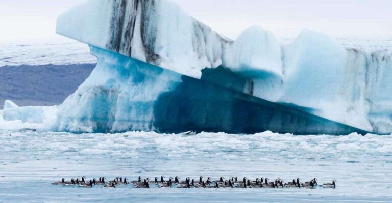 Private Jökulsárlón Glacier Lagoon Tour Tour Itinerary