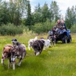 Private Kennel Visit And Atv Tour With The Huskies Overview Of The Experience