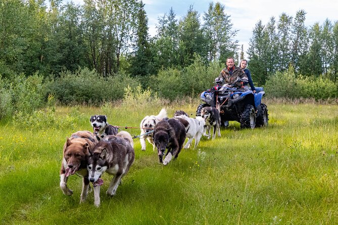 Private Kennel Visit and ATV Tour With the Huskies - Overview of the Experience