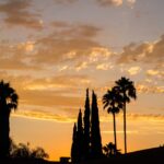 Private Los Angeles Tour By Night Tour Overview And Details