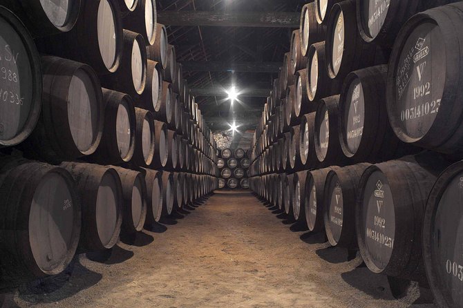 Private Porto Tour From Lisbon - the Wine Capital of Portugal - About the Private Porto Tour