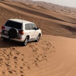 Private Red Dunes Desert Safari Dubai Tour Overview