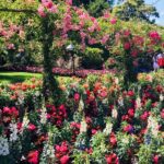 Private Small Group Deluxe Tour Of Victoria & To Butchart Gardens Overview Of The Tour