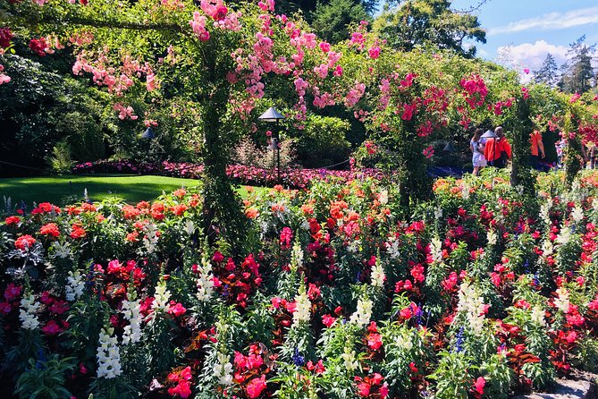 Private Small Group Deluxe Tour of Victoria & to Butchart Gardens - Overview of the Tour