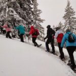 Private Snowshoeing Full Day Activity Details