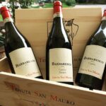 Private Tasting Barbaresco Experience With Typical Products Experience Overview