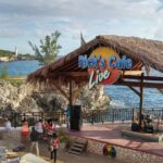 Private Tour From Ocho Rios Or Runaway Bay To Negril 7 Miles Beach & Ricks Cafe Attractions