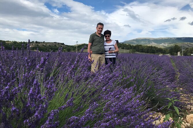 Private Tour to Gorges Du Verdon and Its Lavender Fields - Tour Overview