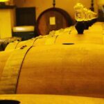 Private Tour: Top Brunello Di Montalcino Wine Tour Exploring Tuscanys Renowned Wine Region