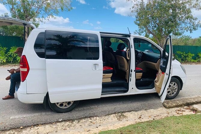 Private Transfer From Santo Domingo Airport to Bayahibe - Pickup Information and Process