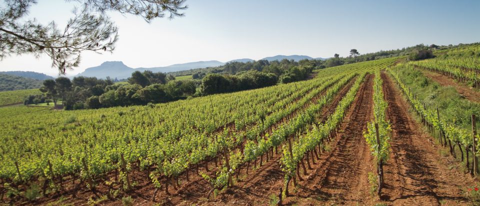 Provence Wine Tour - Small Group Tour From Cannes - Tour Details